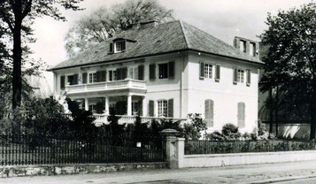 Bellevue 15, 1951
