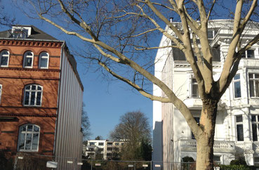 Bellevue Nr. 11